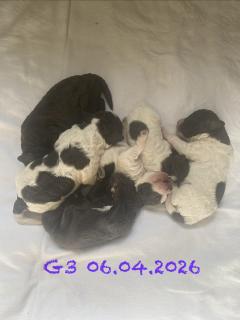 G3 - Bilder aus der ersten Lebenswoche